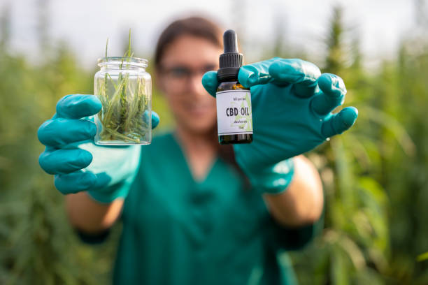 Pourquoi choisir une huile de CBD bio ?